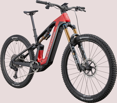 Cannondale Moterra - My Store