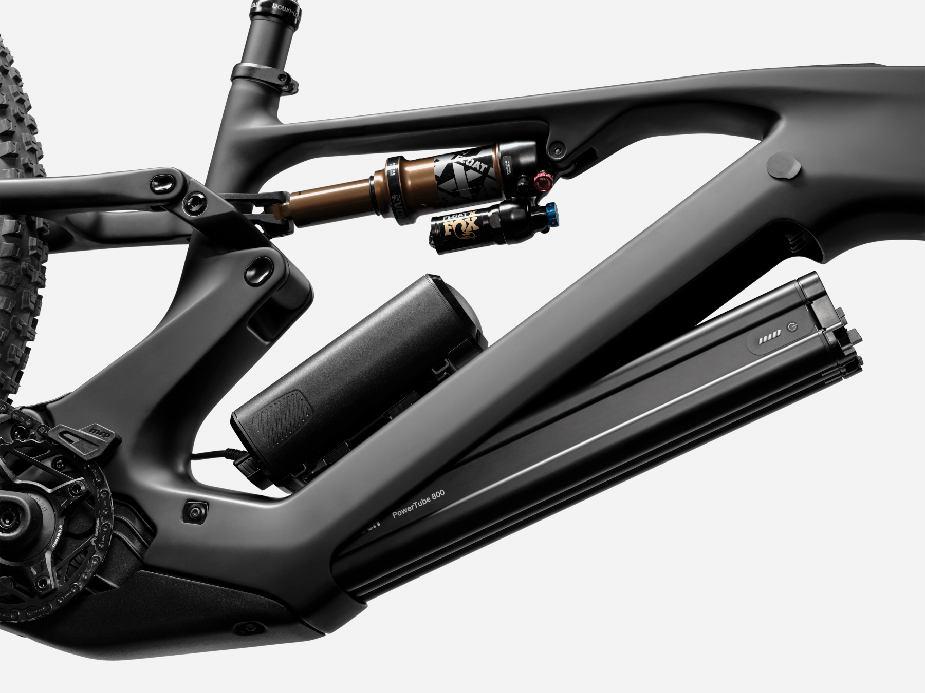 Cannondale Moterra - My Store