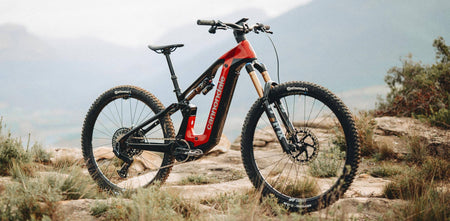 Cannondale Moterra - My Store