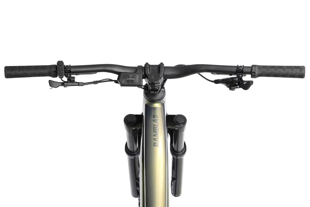 Ramblas E-bike Our eMTB - My Store