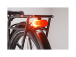 Rad Power Bikes Radster™ Road Electric Commuter Bike - My Store