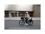 Rad Power Bikes Radster™ Road Electric Commuter Bike - My Store
